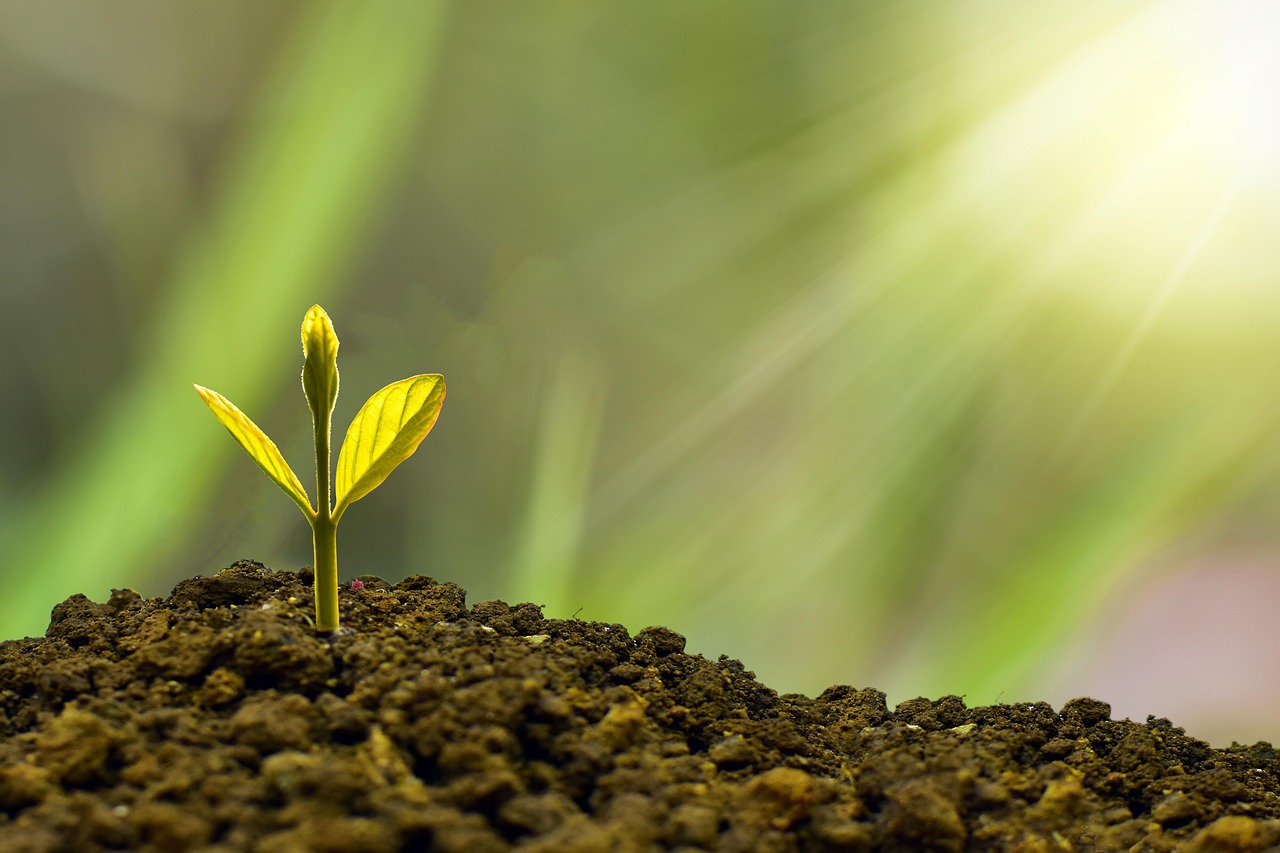 entdecken sie die besten anlagestrategien und erhalten sie expertenrat zu investitionen. optimieren sie ihr portfolio und sichern sie ihre finanzielle zukunft mit klugen entscheidungen.