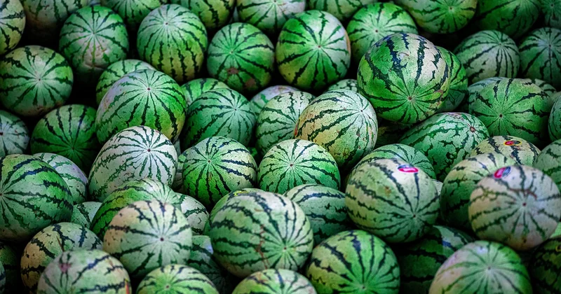 Gesundheitliche Risiken: Das sollten Sie wissen