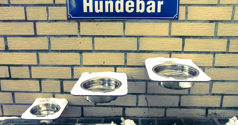 Brille oder Kontaktlinse – der Unterschied, den kaum jemand kennt